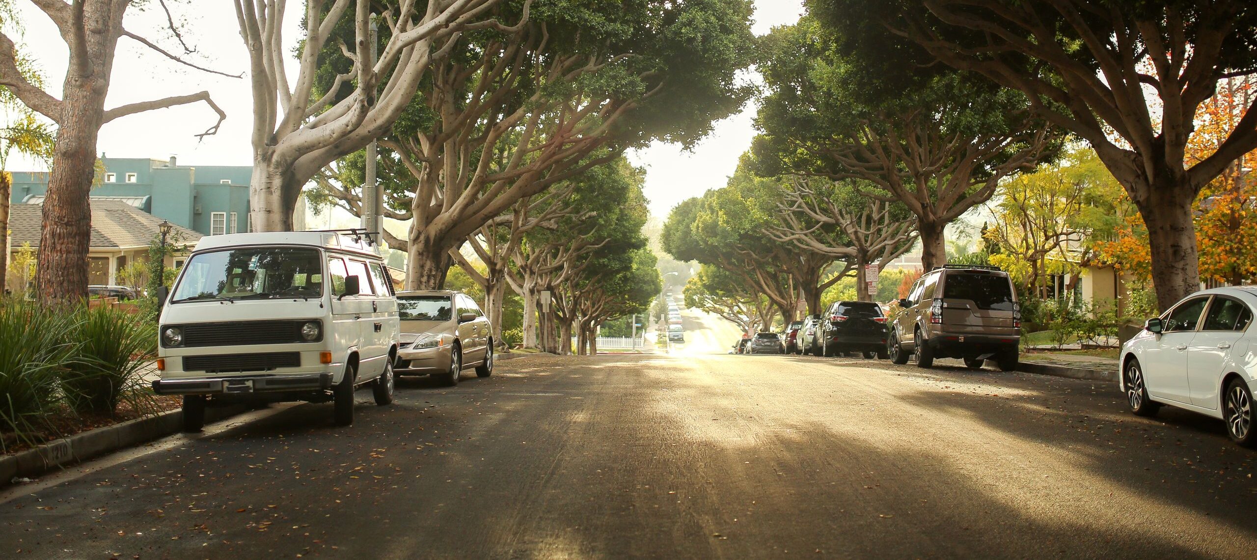Sunlit avenue in Laguna Beach with parked cars and lush trees lining the street.